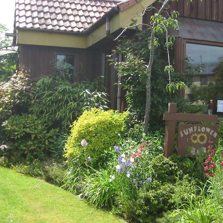 פינדהורן Sunflower Bed & Breakfast מראה חיצוני תמונה