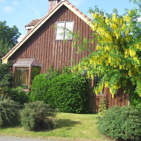 פינדהורן Sunflower Bed & Breakfast מראה חיצוני תמונה